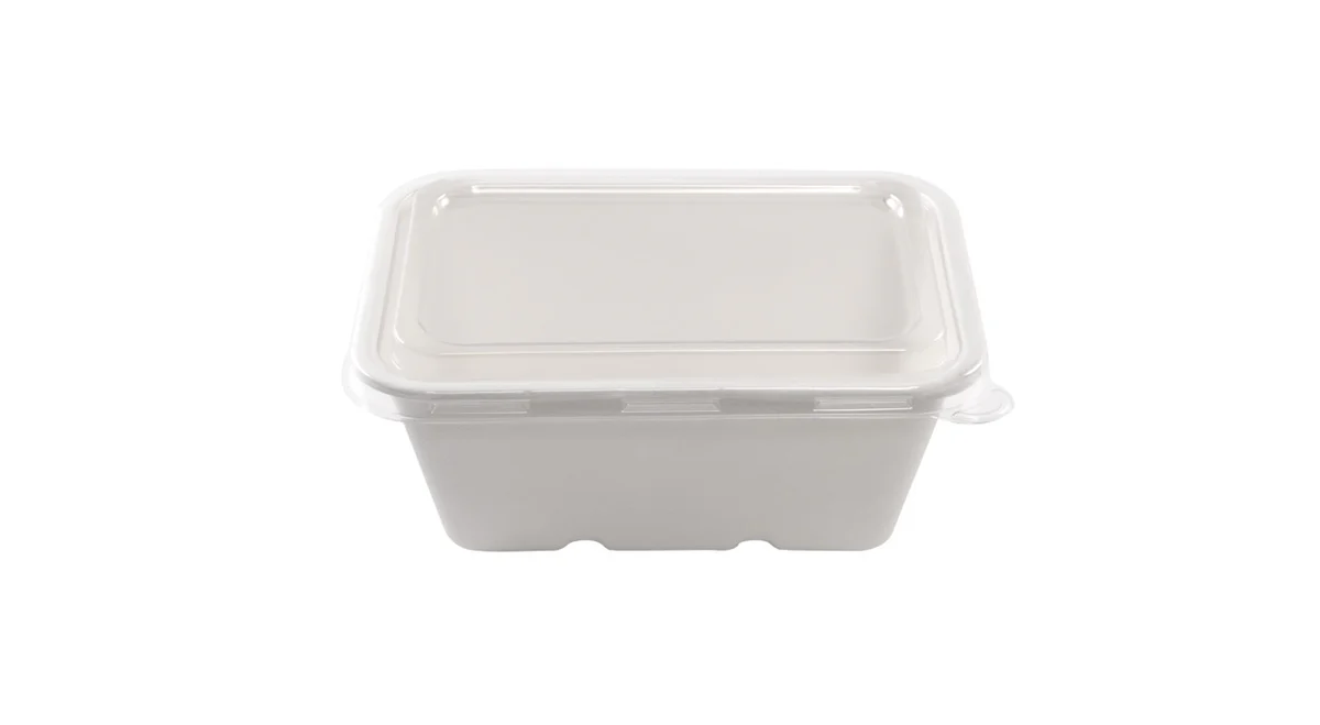 Barquette rectangulaire pulpe de canne 650ml avec couvercle PET ou bagasse – Image 4