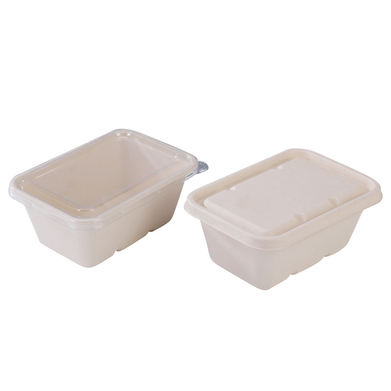 Barquette rectangulaire pulpe de canne 650ml avec couvercle PET ou bagasse